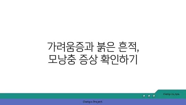 모낭충, 제대로 알고 관리하기 | 증상, 원인, 치료, 예방, 관리, 모낭충 비누