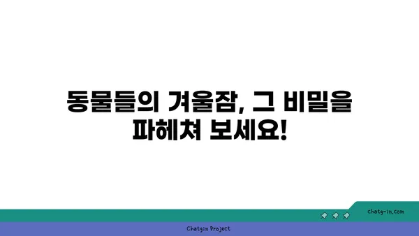 동물들의 겨울잠| 동면의 비밀 | 동물, 겨울잠, 생존 전략, 자연