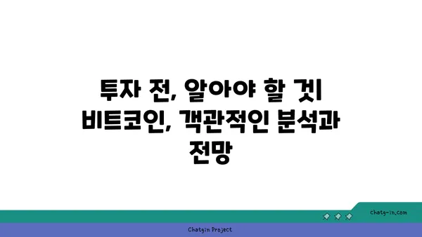 비트코인의 롤러코스터| 흥망성쇠를 거치며 배우는 교훈 | 암호화폐, 투자, 역사, 분석