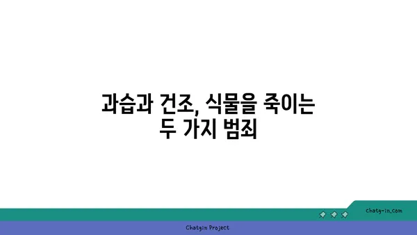 식물도 살리는 물주기 마스터하기| 꿀팁 7가지 | 식물, 물주기, 관리, 성장, 건강