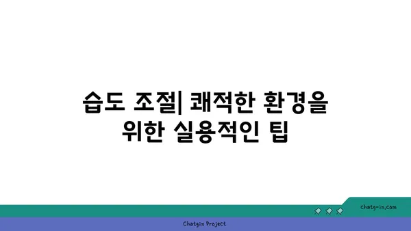 완벽한 습도| 사람이 편안함을 느끼는 최적의 습도 수준 | 쾌적한 실내 환경, 습도 조절, 건강 팁