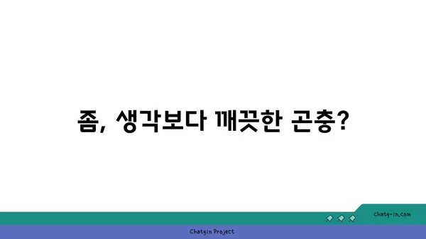 좀, 더 이상 징그럽지 않아요| 깨끗함의 진실과 좀에 대한 오해 풀기 | 좀, 곤충, 오해, 깨끗함, 위생