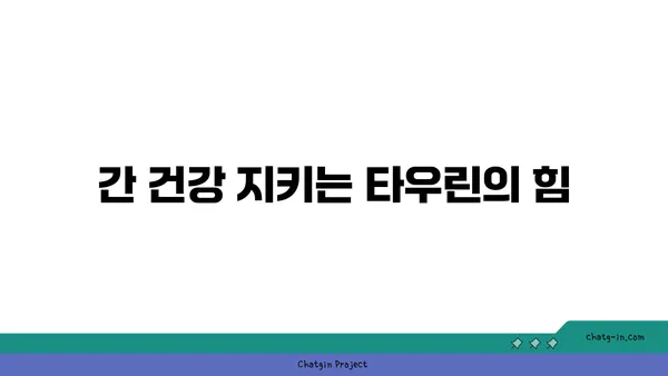 타우린, 지방간 관리의 숨겨진 조력자? | 지방간, 간 건강, 타우린 효능