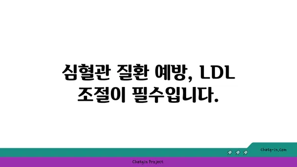 나쁜 콜레스테롤, LDL 정복하기| 저밀도 지단백질 완벽 가이드 | 콜레스테롤, 건강, 심혈관 질환