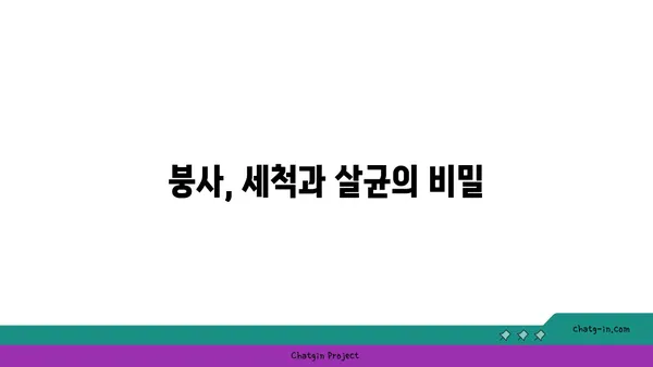 붕사의 놀라운 활용법|  세척부터 건강까지 | 붕사, 활용, 효능, 주의사항