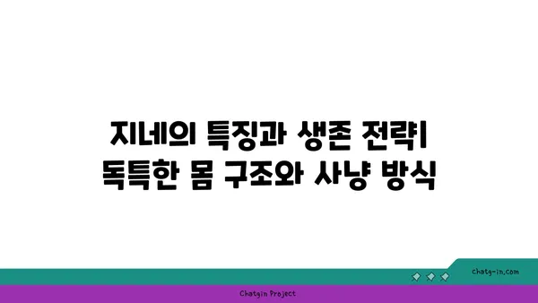 지네, 알아야 할 정보 총정리 | 다양한 종류, 특징, 서식지, 그리고 주의 사항