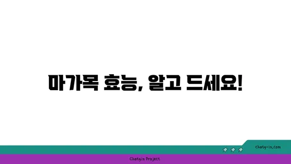 마가목 효능과 부작용 완벽 정리 | 마가목차 효능, 마가목 섭취 방법, 마가목 부작용, 마가목 재배