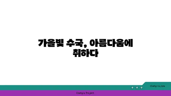 수국 페스티벌| 가을빛 축제 속으로 | 수국, 가을 축제, 가을 여행, 축제 정보