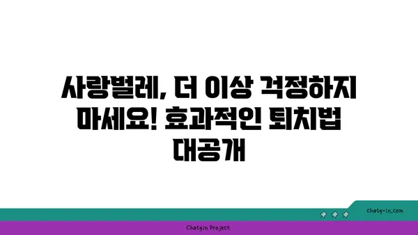 사랑벌레 극복하기| 효과적인 퇴치 방법 및 예방 가이드 | 사랑벌레, 벌레퇴치, 천연살충제, 해충방제