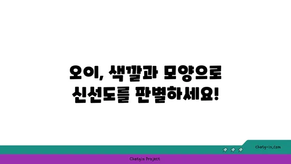 오이, 제대로 고르는 법| 신선하고 맛있는 오이 고르는 꿀팁 | 오이 고르기, 오이 선별, 신선한 오이