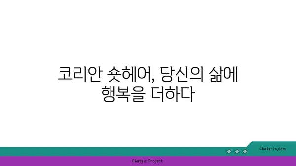 코리안 숏헤어 완벽 가이드| 성격, 건강, 관리, 그리고 입양까지 | 고양이, 품종, 특징, 키우기