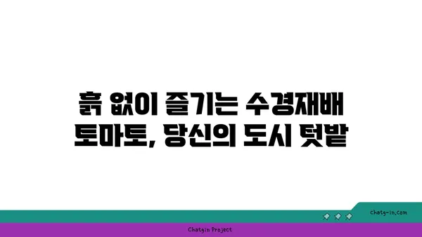 공간 제약 없이 토마토를 키우는 혁신적인 방법| 상자 속 토마토 재배 가이드 | 베란다텃밭, 수경재배, 도시농업