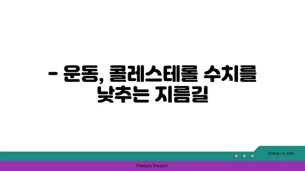 콜레스테롤 수치 낮추는 3가지 확실한 전략 | 건강, 식단, 운동, 콜레스테롤 관리