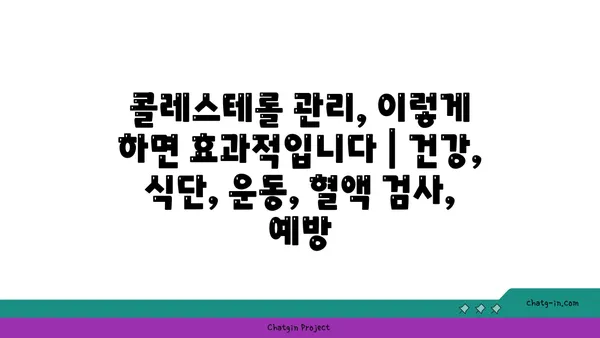 콜레스테롤 관리, 이렇게 하면 효과적입니다 | 건강, 식단, 운동, 혈액 검사, 예방