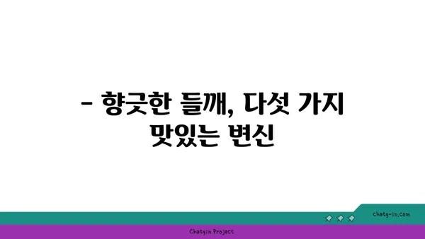 들깨, 맛있게 먹는 방법 5가지 | 들깨 효능, 요리 레시피, 궁합