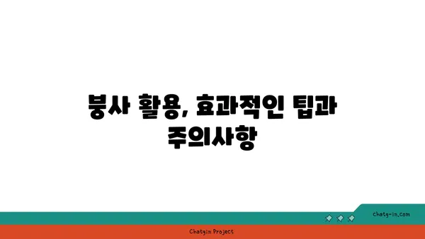 붕사의 놀라운 활용법|  세척부터 건강까지 | 붕사, 활용, 효능, 주의사항