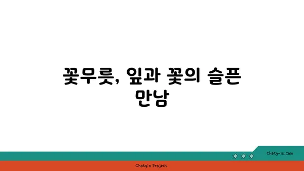 꽃무릇의 매혹적인 비밀| 붉은 꽃, 슬픈 전설 그리고 아름다운 풍경 | 꽃무릇, 전설, 가을, 풍경, 사진, 여행, 명소