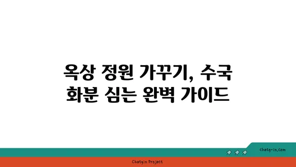 옥상 정원 가을 분위기 연출| 수국 화분 심기 가이드 | 옥상 정원, 가을, 수국, 화분 심기, 정원 가꾸기