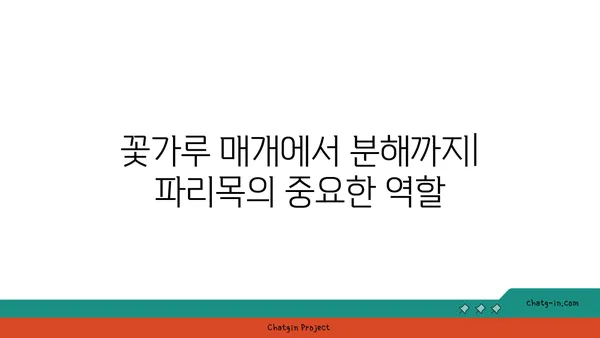 파리목의 비밀| 생태계의 중요한 역할과 다양한 종류 알아보기 | 파리목, 곤충, 생태계, 분류