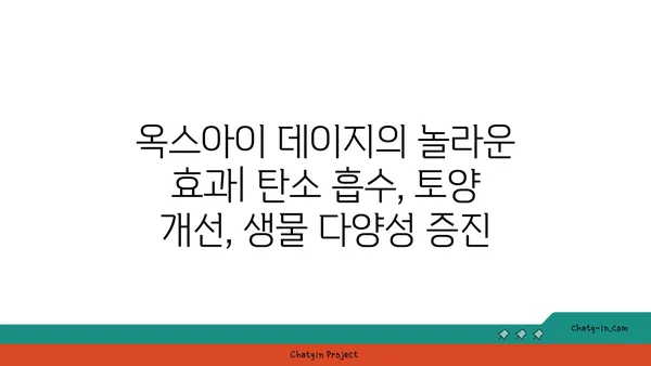 탄소 배출 감소에 도움이 되는 옥스아이 데이지| 심는 방법과 효과 | 탄소 중립, 환경 보호, 식물의 힘