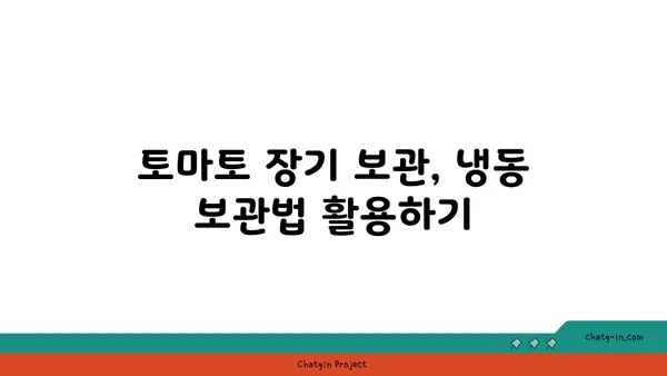 토마토 장기 저장| 계절을 넘어 풍부한 과일을 즐기는 5가지 비법 | 토마토 보관, 토마토 저장 방법, 토마토 장기 보관 팁