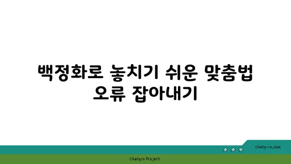 백정화| 한국어 맞춤법 검사 도구 활용 가이드 | 맞춤법 검사, 오류 수정, 문서 검토