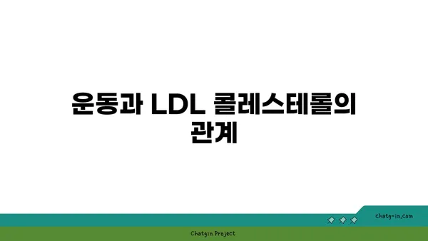 나쁜 콜레스테롤, LDL 정복하기| 저밀도 지단백질 완벽 가이드 | 콜레스테롤, 건강, 심혈관 질환