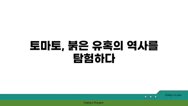 토마토의 놀라운 변신| 역사 속 흥미로운 이야기와 건강 전통 | 토마토, 역사, 건강, 영양, 레시피