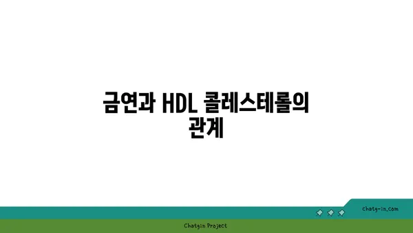 고밀도 지단백질(HDL)| 좋은 콜레스테롤, 건강하게 높이는 방법 | 고지혈증, 심혈관 건강, 콜레스테롤 관리