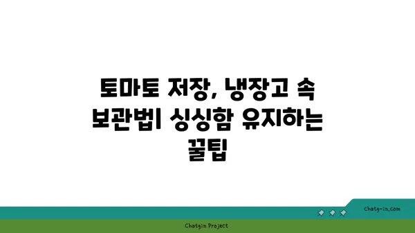 토마토 오래 보관하는 방법| 싱싱함을 유지하는 5가지 비법 | 토마토 보관, 토마토 저장, 토마토 관리, 싱싱한 토마토