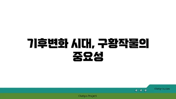 전쟁과 기근을 이겨낸 힘, 구황작물의 역사와 종류 | 한국, 역사, 식량, 재난