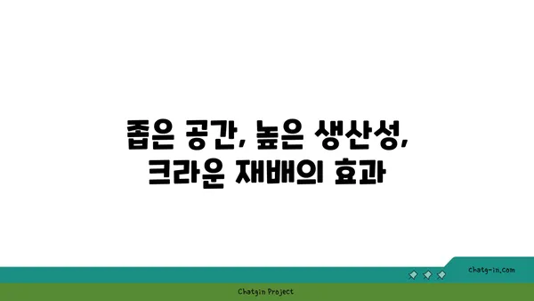 제한된 공간에서 토마토 생산성을 높이는 크라운 재배 방법 | 토마토 크라운 재배, 좁은 공간, 수직 재배, 생산성 향상