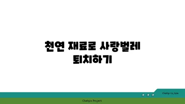 사랑벌레로부터 나를 지켜줄 5가지 방법 | 사랑벌레, 해충, 방충, 예방, 천연