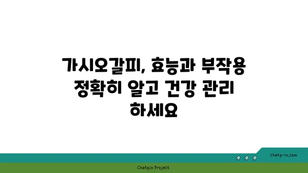 가시오갈피 효능과 부작용 완벽 정리 | 건강, 약초, 섭취 방법, 주의 사항