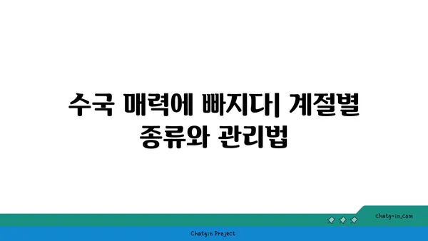 수국의 매력에 빠지다| 계절별 수국 종류와 관리법 | 수국, 꽃, 정원, 가드닝, 식물