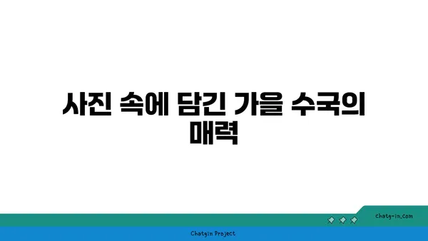 수국과 예술| 가을 정취를 담은 아름다운 풍경 연출 | 가을, 수국, 풍경 사진, 예술, 그림, 영감