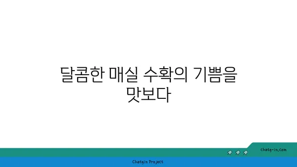 매실나무 키우기 완벽 가이드| 삽목부터 수확까지 | 매실나무, 재배, 삽목, 관리, 수확