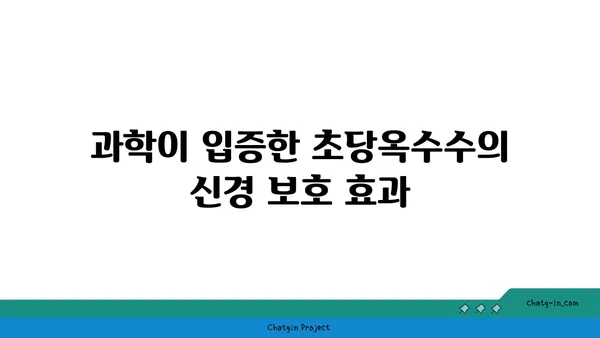 초당옥수수의 놀라운 신경 보호 효능| 과학적 근거와 실제 효과 | 뇌 건강, 항산화, 기억력, 집중력