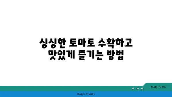 텃밭에서 싱싱한 토마토 수확하기| 토마토 재배 완벽 가이드 | 토마토, 재배, 텃밭, 팁, 방법, 관리