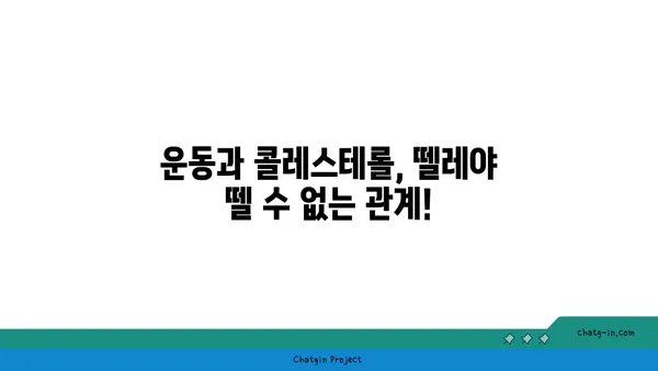 콜레스테롤 수치 컨트롤, 3가지 기본 습관으로 건강 관리하세요 | 콜레스테롤, 건강, 생활 습관