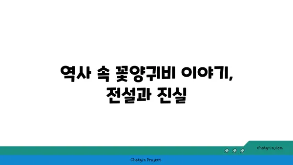 꽃양귀비의 매력에 빠지다| 아름다움과 의미를 담은 꽃 | 꽃양귀비, 꽃말, 재배, 사진, 정보, 이야기