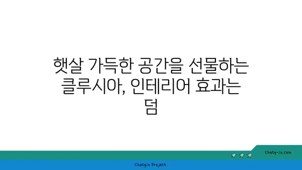 클루시아| 빛과 공기를 사랑하는 실내 정원의 주인공 | 식물, 관리법, 인테리어