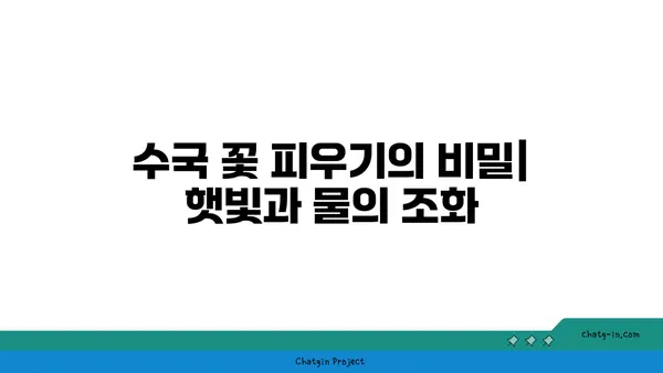 끊임없이 피는 수국을 위한 5가지 팁 | 수국 관리, 꽃 피우기, 수국 재배