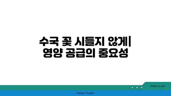 끊임없이 피는 수국을 위한 5가지 팁 | 수국 관리, 꽃 피우기, 수국 재배