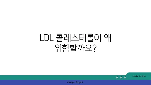 나쁜 콜레스테롤, LDL 정복하기| 저밀도 지단백질 완벽 가이드 | 콜레스테롤, 건강, 심혈관 질환