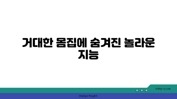 코끼리, 알고 보면 신기한 동물| 놀라운 능력과 특징 | 코끼리, 동물, 능력, 특징, 지능, 사회성