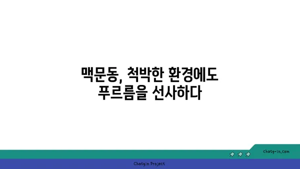 맥문동의 효능과 재배 가이드 | 약초, 정원, 맥문동 키우기, 효능