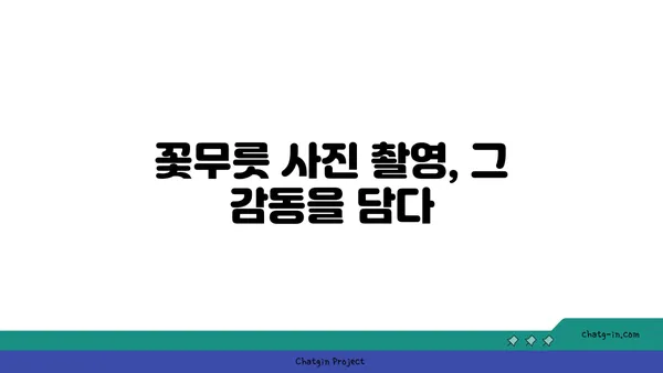 꽃무릇의 매혹적인 비밀| 붉은 꽃, 슬픈 전설 그리고 아름다운 풍경 | 꽃무릇, 전설, 가을, 풍경, 사진, 여행, 명소