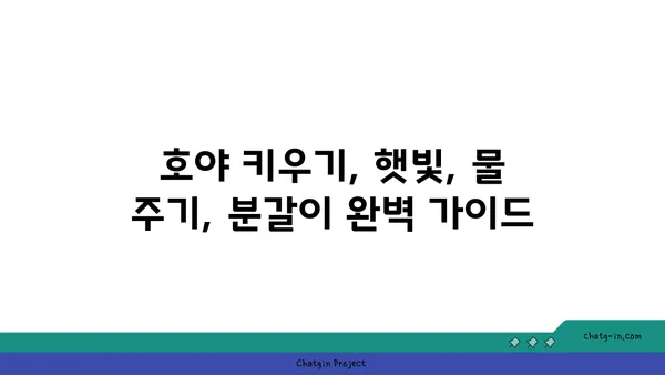 호야 키우기 완벽 가이드| 종류별 특징부터 관리 팁까지 | 호야, 식물 키우기, 실내 식물, 공기 정화 식물, 반려 식물