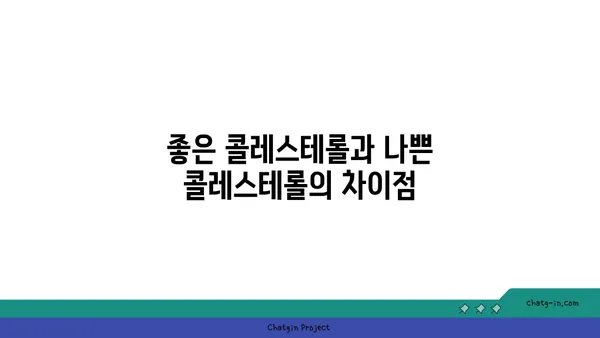 콜레스테롤 이해| 좋은 콜레스테롤 vs 나쁜 콜레스테롤 | 건강, 심혈관 질환, 식단 관리